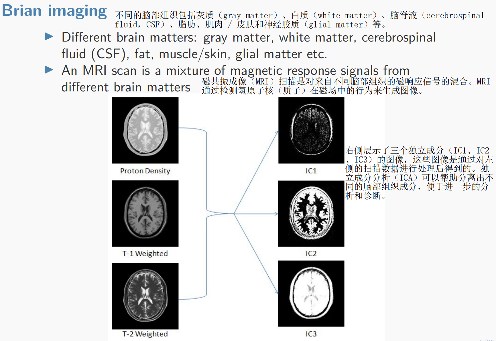 image-20241209205355849