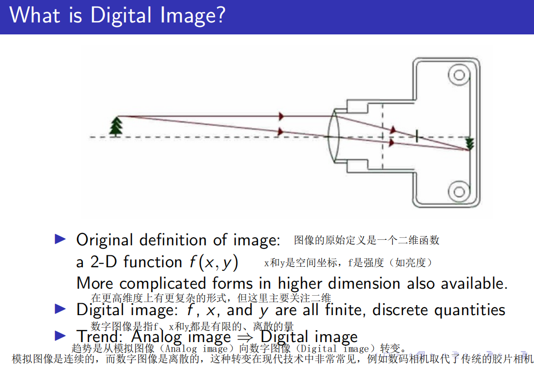 image-20241210114306345