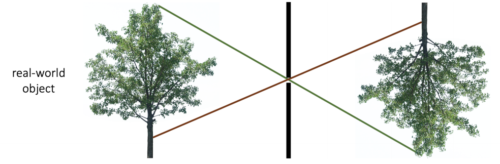 image-20241210160920151