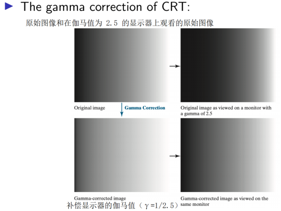 image-20241210214834218