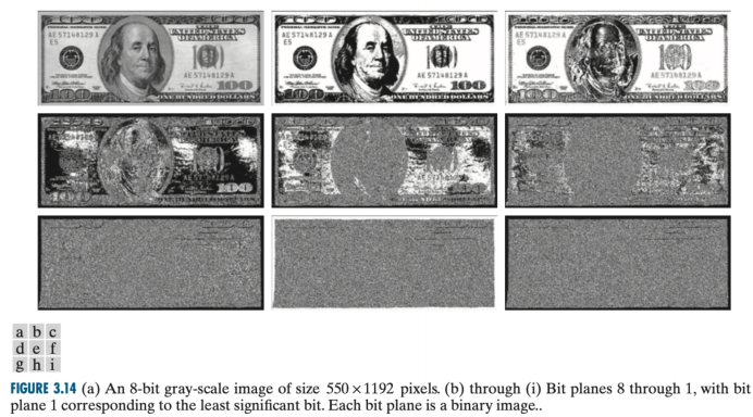 image-20241211130209685