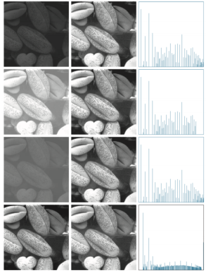 image-20241211143427925