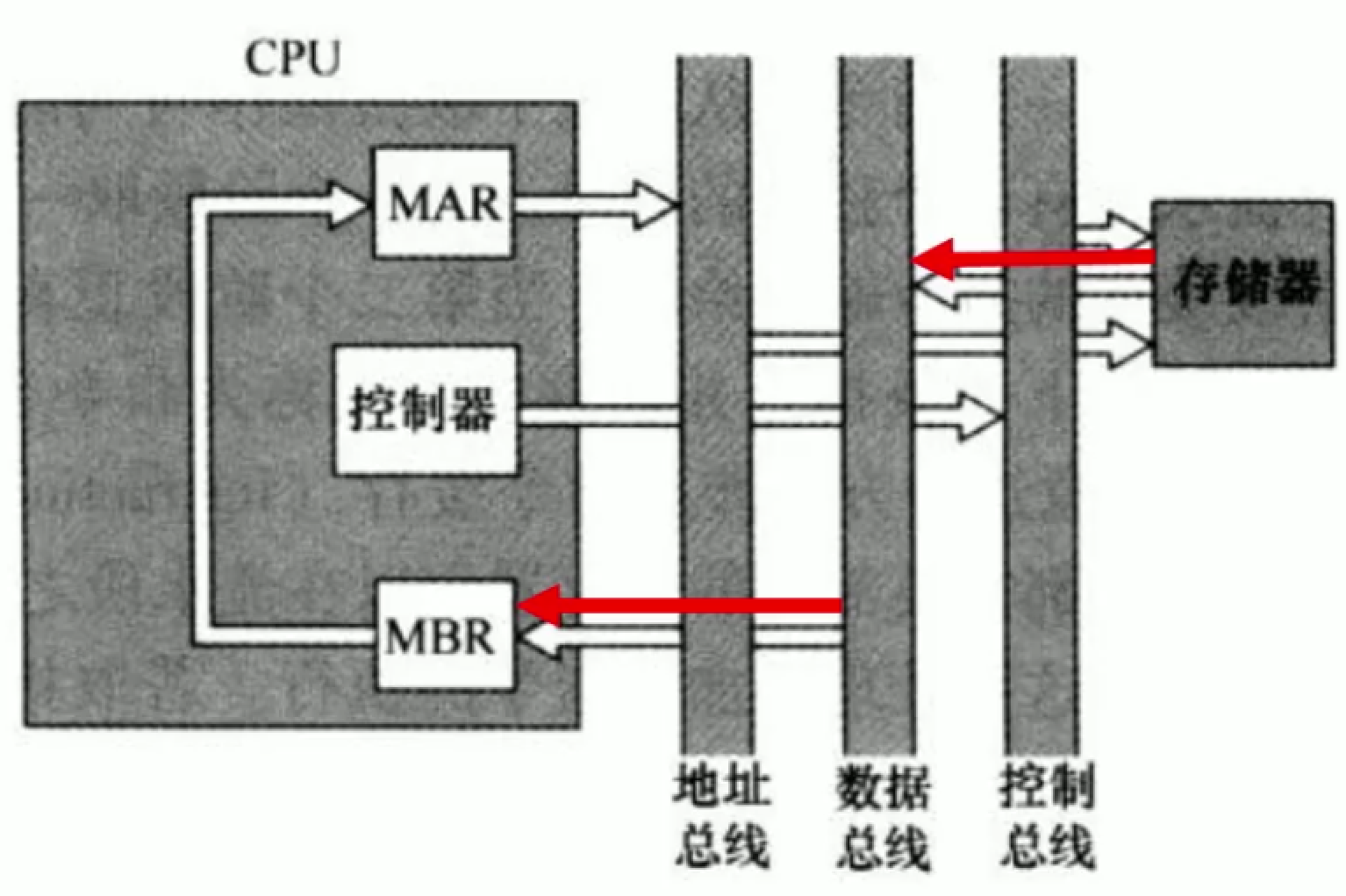 image-20211213195345607