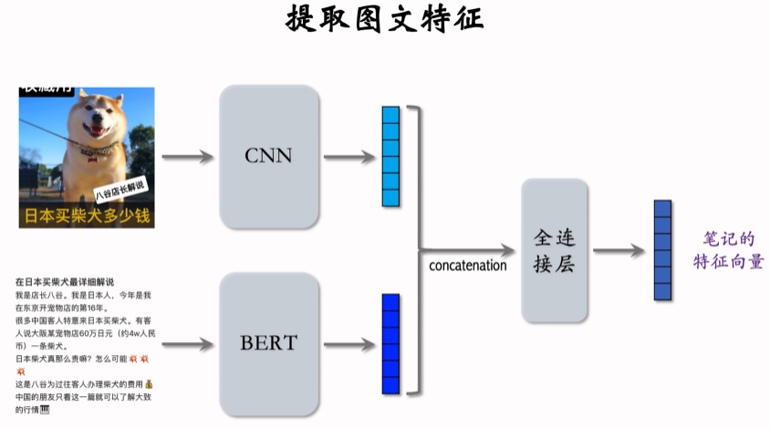 image-20250312130229279