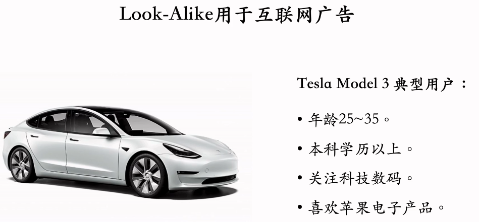 image-20250313174311393