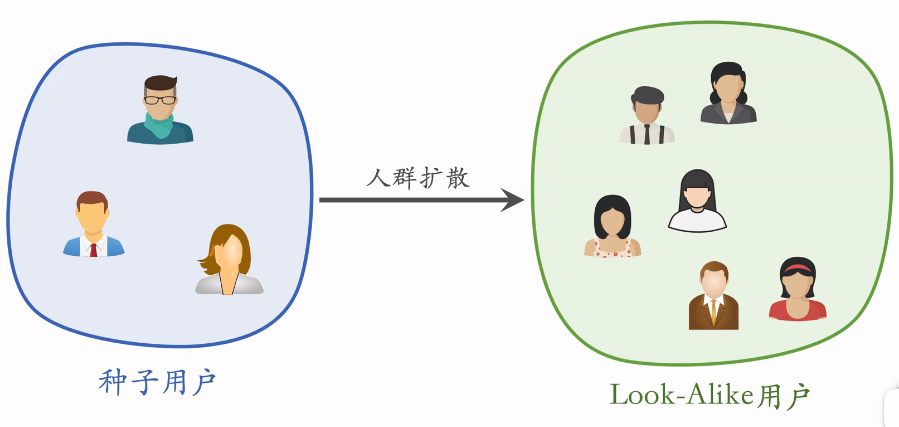 image-20250313174351647