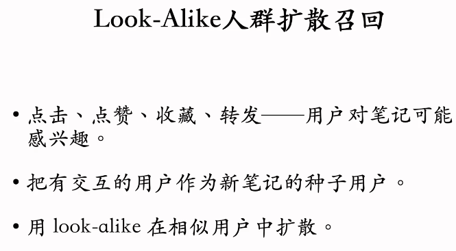 image-20250313174645291