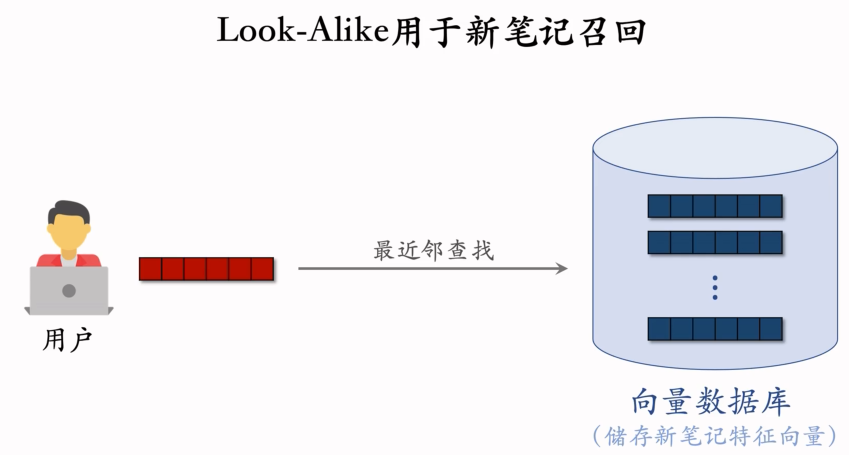 image-20250313175236252